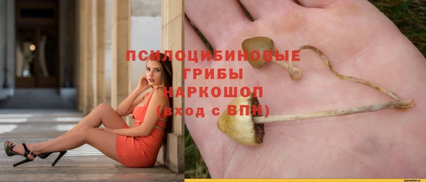 COCAINE Козловка
