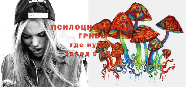 2c-b Коряжма