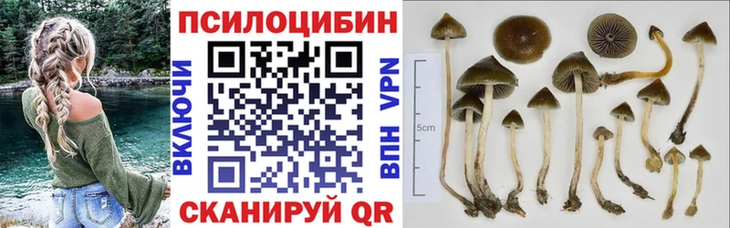 Купить  Олёкминск  Псилоцибиновые грибы ЛСД 