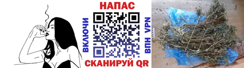 Купить  Олёкминск  Бошки Шишки семена 